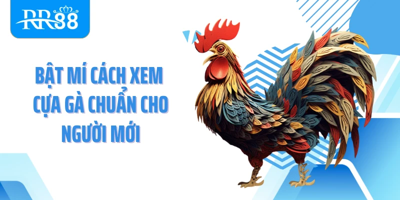 Bật mí cách xem cựa gà chuẩn cho người mới