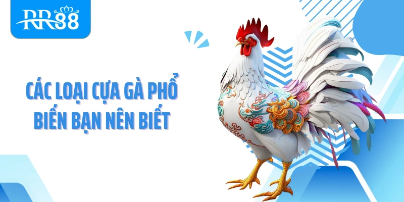 Các loại cựa gà phổ biến bạn nên biết