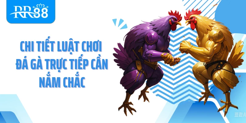 Chi tiết luật chơi đá gà trực tiếp cần nắm chắc