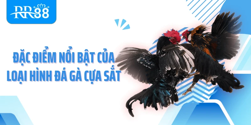 Đặc điểm của loại hình đá gà cựa sắt cần biết