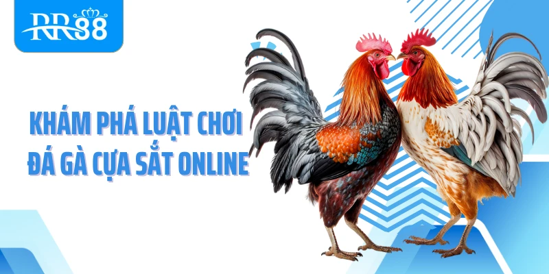Khám phá luật chơi đá gà cựa sắt online