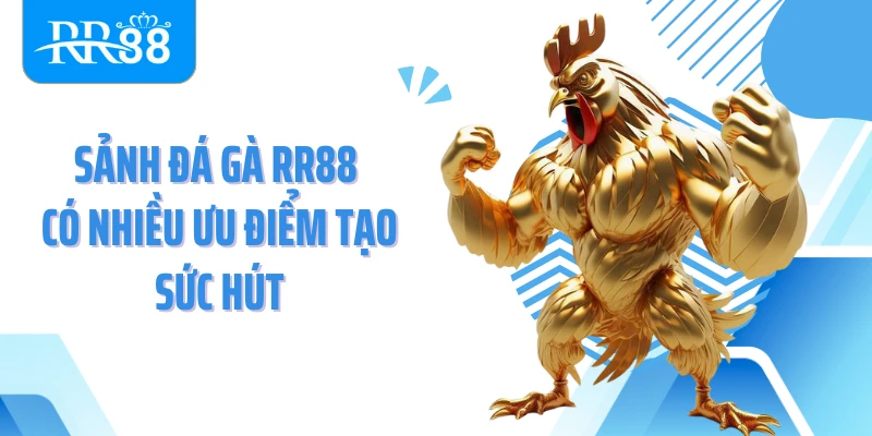 Sảnh đá gà RR88 có nhiều ưu điểm tạo sức hút