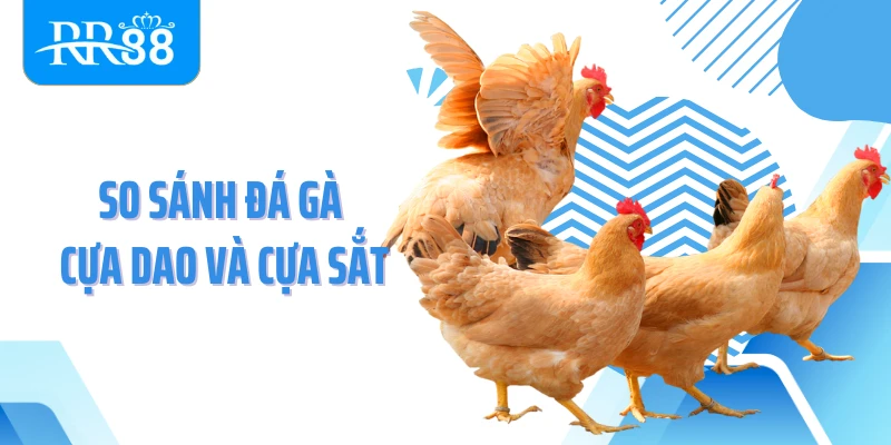 So sánh đá gà cựa dao và cựa sắt