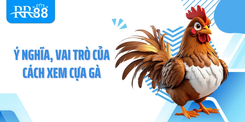 Ý nghĩa, vai trò của cách xem cựa gà