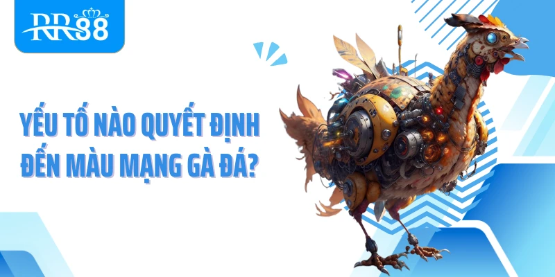 Yếu tố nào quyết định đến màu mạng gà đá?